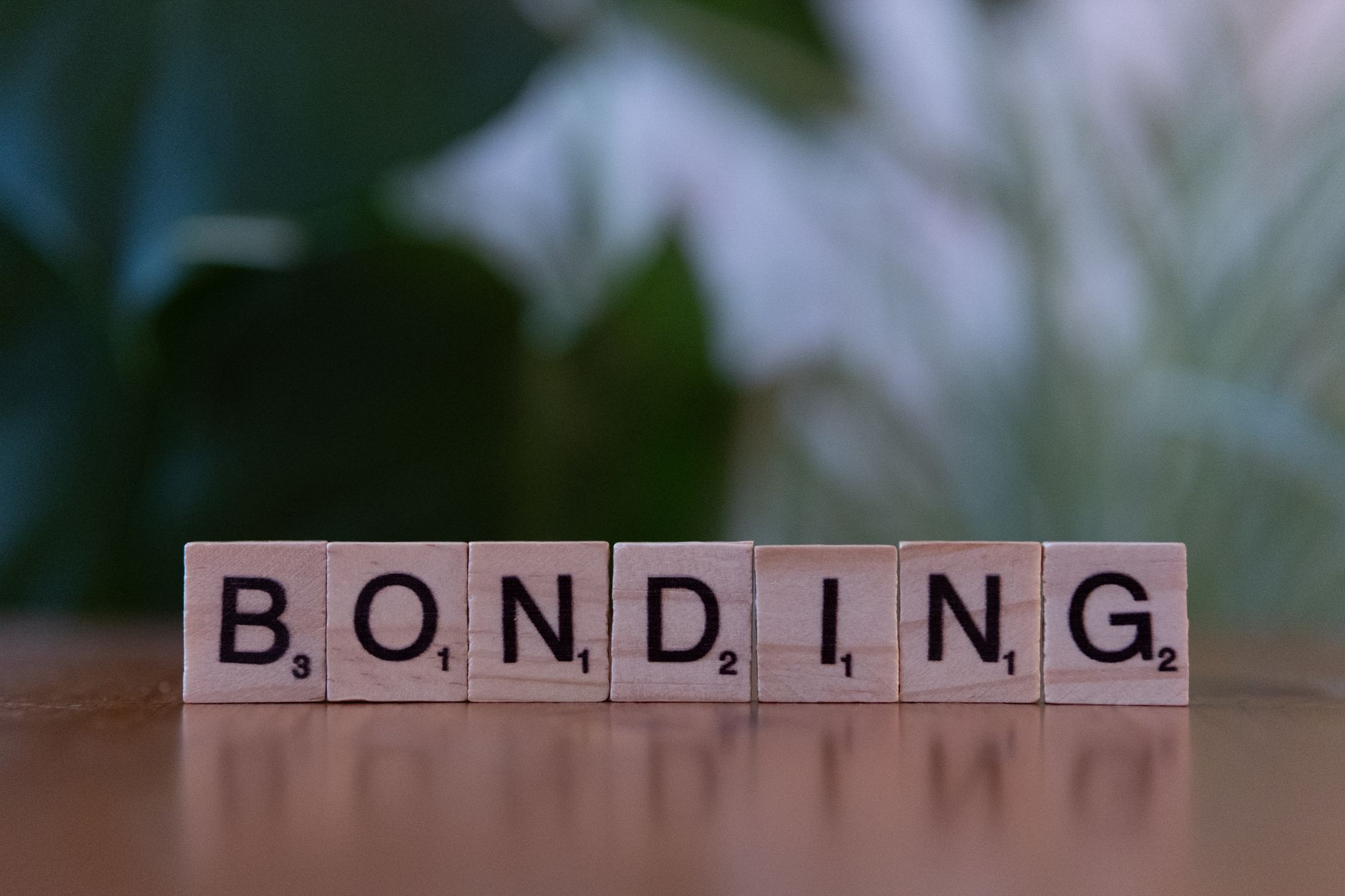 When to Apply for Your Bond by the Calendar